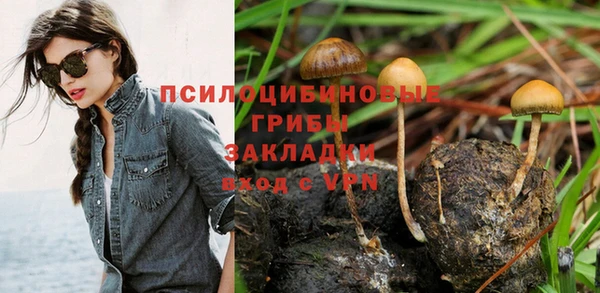 а пвп мука Новодвинск