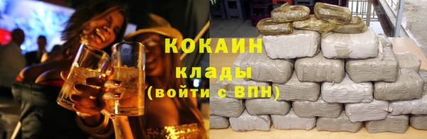 индика Чекалин