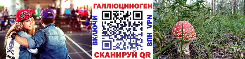 Галлюциногенные грибы Psilocybe  Тырныауз 