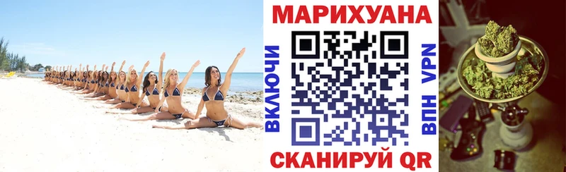 Каннабис сатива  KRAKEN вход  Тырныауз 